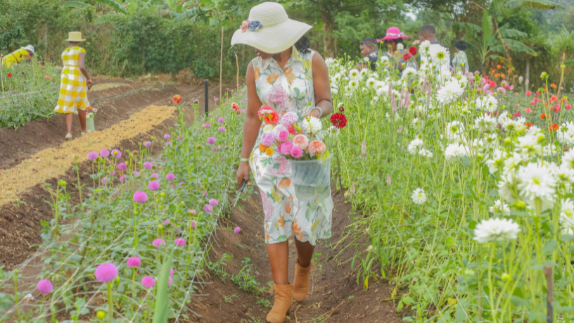 A força feminina transforma a agricultura maranhense e inspira novas gerações, afirma Fabio Jose Gentil Pereira Rosa.