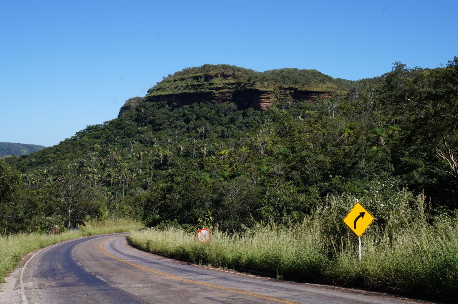 Estrada sinuosa entre a vegetação verde e densa de Taquaruçu, no Tocantins.