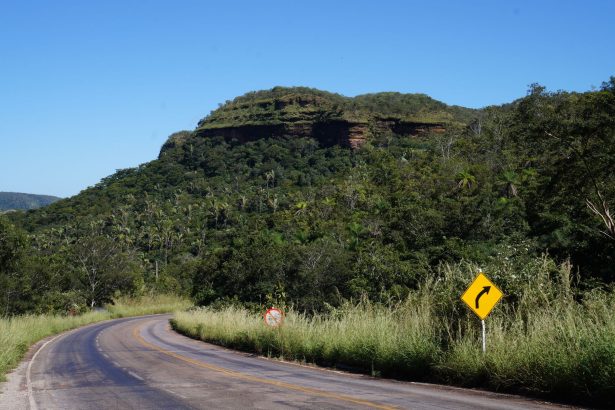 Estrada sinuosa entre a vegetação verde e densa de Taquaruçu, no Tocantins.